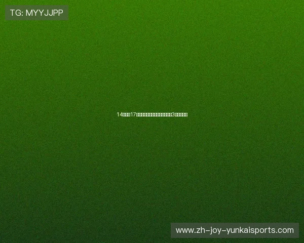 14万起，17款现代悦动，奥迪的外观，宝马3系的内饰！